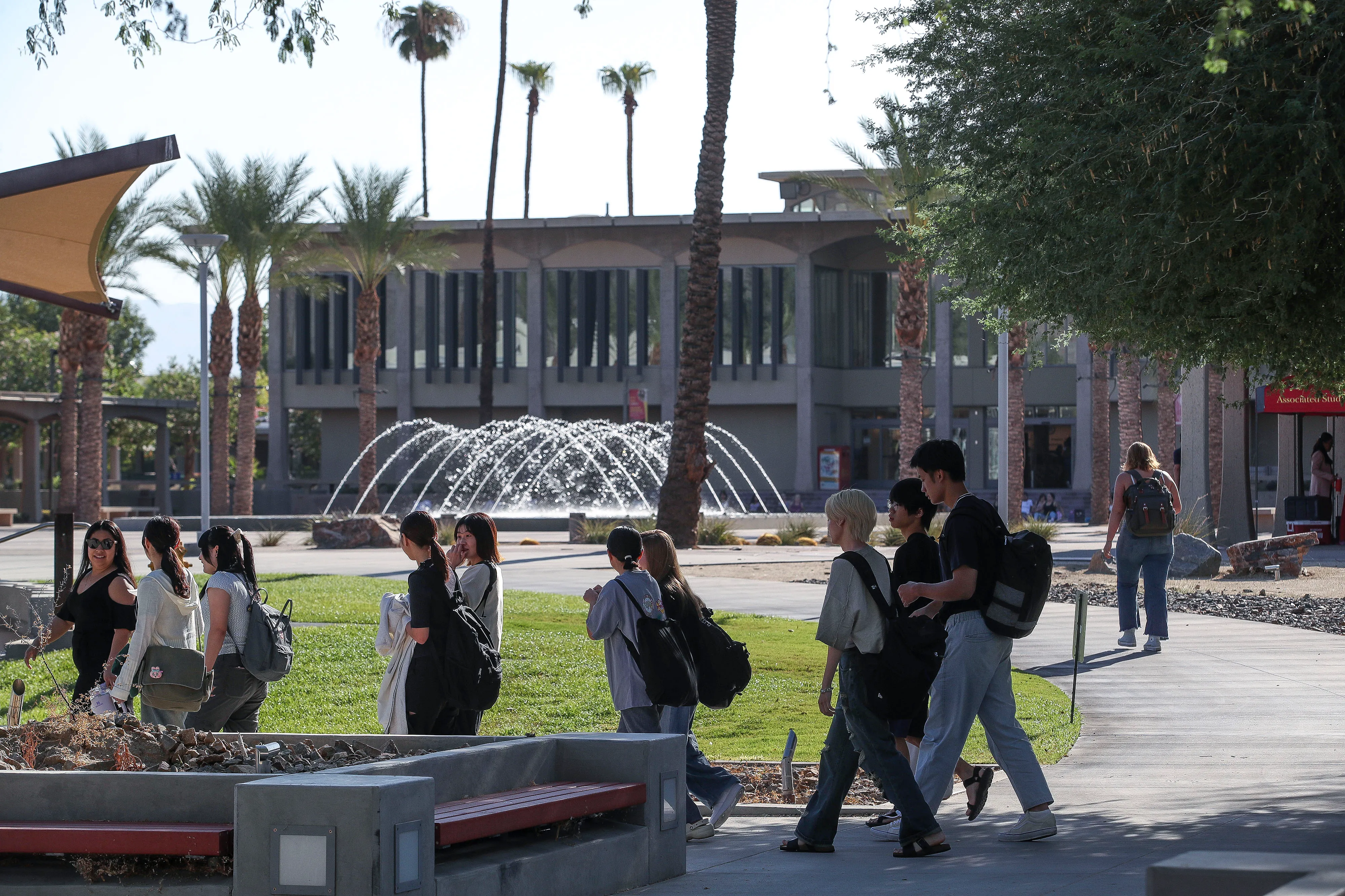 School media preview